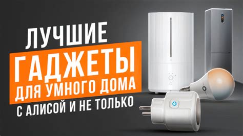 Лучшие гаджеты для умного дома с голосовым управлением