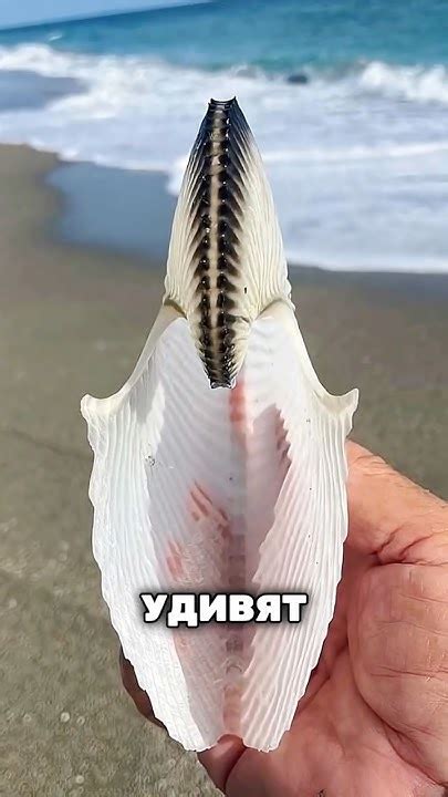 Необычные факты и открытия, которые удивят каждого